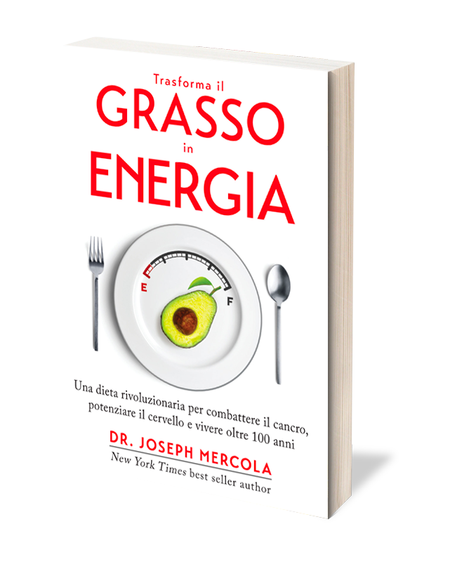 trasforma il Grasso in Energia - cover 3d
